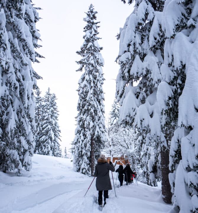 Raquette - Snowshoeing Coucou Meribel Experience