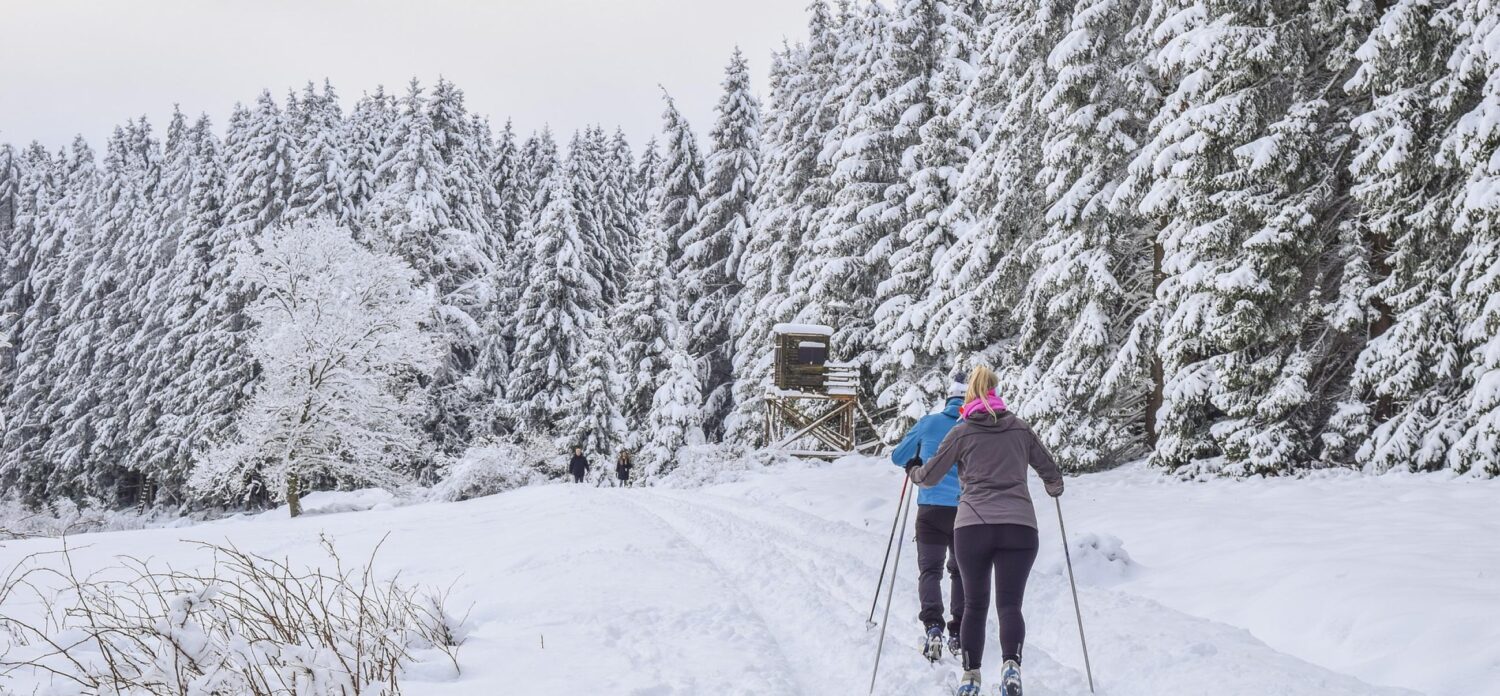 The Méribel ski area : A paradise at the foot of Le Coucou