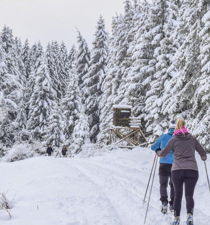 The Méribel ski area : A paradise at the foot of Le Coucou